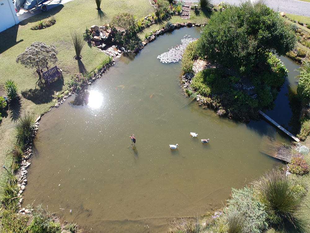 DCIM/100MEDIA/DJI_0490.JPG